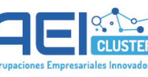 Convocadas subvenciones 2020 dirigidas a mejorar la competitividad empresarial en Castilla y León a través de Agrupaciones Empresariales Innovadoras