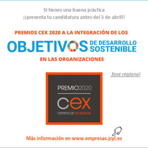 Convocados los Premios CEX 2020 a la integración de ODS en las organizaciones de Castilla y León