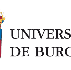 Resultados del proyecto «Entorno 3D virtual para entrenamiento de maniobras de riesgo».  Prototipo de Raúl Asperilla, UBU