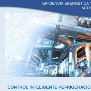 Eficiencia energética y sostenibilidad industrial. Modelos energéticos
