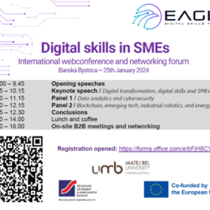 DIHBU acudirá a Eslovaquia para reunirse con los socios del proyecto EAGLE y participar en la Conferencia sobre Competencias digitales