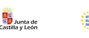 Oportunidad de formación gratuita ICECYL: Nuevo Curso de gestión de proyectos europeos